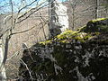 Einzig sichtbarer Mauerrest der Ruine Baldeck