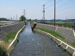 不老川 2010年6月1日撮影