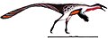 Shenzhousaurus illustration