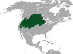 Distribución de Lepus townsendii