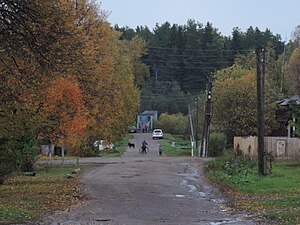 Улица Советская; на заднем плане мост в Заречный парк