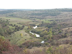 Панорама заказника