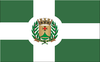 Flag of Santo Antônio da Alegria