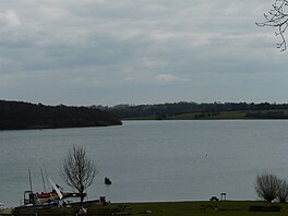 A lake surrounded by trees