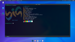 Captura de pantalla de BigLinux 2022-07-15 mostrando Neofetch