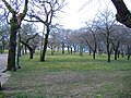 Vista da Carballeira coa capela ao fondo