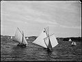 Gaff rigged yachts race on Sydney Harbour, c. 1900