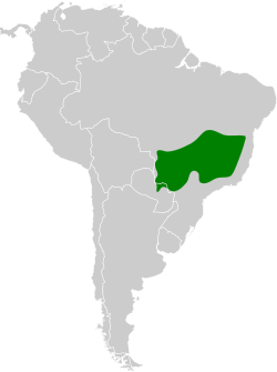 Distribución geográfica del ticotico cabecirrufo oriental.