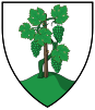 Coat of arms of Balatonkenese