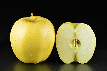 Golden Delicious é uma cultivar de maçã. É uma das 15 cultivares de maçã mais populares nos Estados Unidos. Não está intimamente relacionada a Red Delicious. É uma cultivar grande, de casca verde-amarelada e de sabor muito doce. É propensa a hematomas e murchamentos, precisando de manuseio e armazenamento cuidadosos. É uma das favoritas para comer pura, bem como para usar em saladas, molho de maçã e manteiga de maçã. America's Test Kitchen, Food Network e Serious Eats listam as maçãs Golden Delicious como uma das melhores maçãs para assar torta de maçã devido ao seu sabor equilibrado e alto teor de pectina que permite que ela permaneça intacta quando cozida. (definição 6 000 × 4 000)