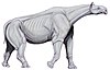 Artist's restoration of Indricotherium.