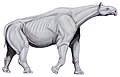 Indricotherium