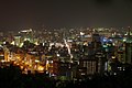 城山から望む夜の鹿児島市街地