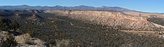 Une forêt se trouve à l'avant-plan et des montagnes se trouvent en arrière-plan. Une élévation au sommet relativement horizontal sépare les deux.