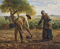 Jean-François Millet, Seminatore di patate