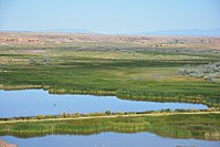 Pariette Wetlands, an oasis in the Uinta Basin