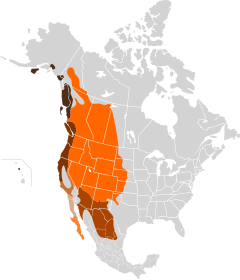 Distribuição geográfica de 7 subespécies.   O. h. sitkensis   O. h. columbianus   O. h. californicus   O. h. fuliginatus   O. h. peninsulae   O. h. eremicus   O. h. hemionus