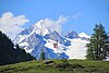 Vor dem Aletschhorn v. l. n. r. Grosses Fusshorn, Rotstock, Geisshorn und der Firngipfel Sattelhorn.