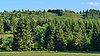 Blick von der Bundesstraße 242 zur Nordflanke des Großen Sonnenbergs