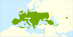Mapa de distribución del olmo común.