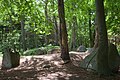 Nature Reserve Quellsumpf Ziegensteine bei Groß Stresow