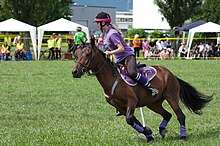 Jeune fille en selle sur un poney marron et noir.