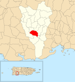 Location of Almácigo Bajo within the municipality of Yauco shown in red