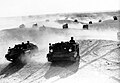 Australians driving Bren Carriers to Bardia, Libya, January 1941