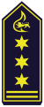 Stellv. Feuerwehrkommandant (als BrD)