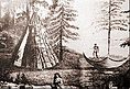 Un camp béothuk, dessin de John Cartwright (1740-1824).