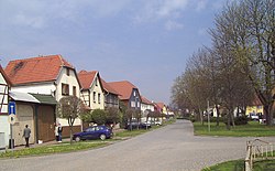 Unter den Linden in Bollstedt