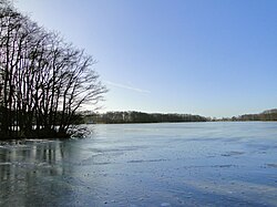 Dümmersjön i februari 2012