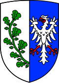 Brasão de Saalstadt