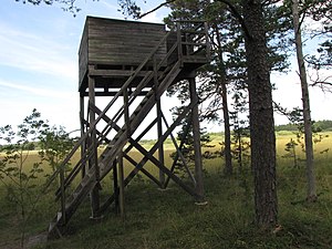 Fågeltorn på Träskmyr.