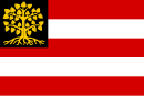 Drapeau de Bois-le-Duc