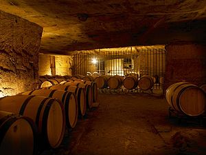 Caves du Château Franc Mayne (AOC saint-émilion), aménagées dans des anciennes carrières souterraines, une garantie pour la stabilité des températures.