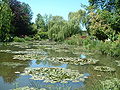 Les nymphéas du jardin de Claude Monet à Giverny