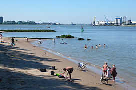 La plage de Heijplaat.