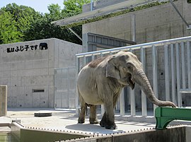 東公園動物園