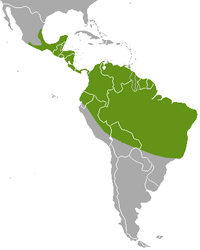 Distribución