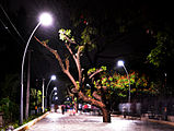 Marine Walkway at night