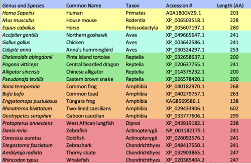 Ortholog Table of TMEM269