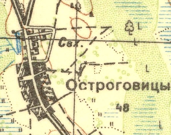 План деревни Остроговицы. 1930 год