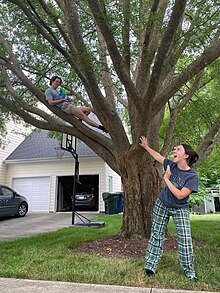 A student laying in a tree, pointing a water gun at his student target on the ground