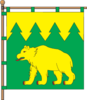 Flag of Skhidnytsia