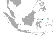 Scattered in northern Sulawesi