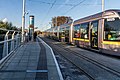 A Luas tram at Ranelagh station