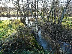 Confluence de la Côle (en haut de gauche vers la droite) et du Trincou