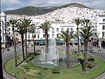 Fountain with palms and city with white houses going uphill in the background