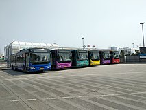 Buses at west plaza terminal